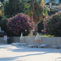 фото из отзыва ID 2195248