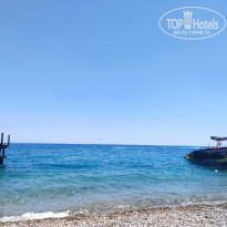 фото из отзыва ID 2196093