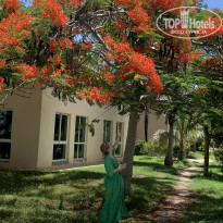 фото из отзыва ID 2196142