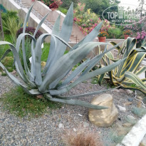 фото из отзыва ID 2196232