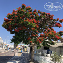 фото из отзыва ID 2196288