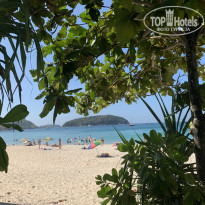 фото из отзыва ID 2196434