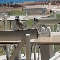 фото из отзыва ID 2196610