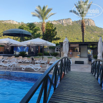 фото из отзыва ID 2196884