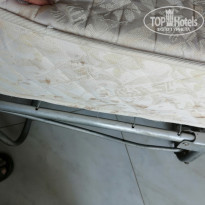 фото из отзыва ID 2196992