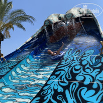 фото из отзыва ID 2196997