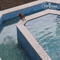 фото из отзыва ID 2196963