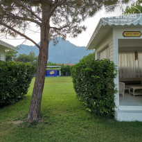 фото из отзыва ID 2197191