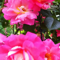 фото из отзыва ID 2197597