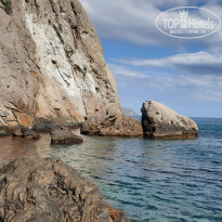 фото из отзыва ID 2197642