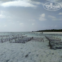 фото из отзыва ID 2197783