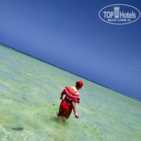 фото из отзыва ID 2197783