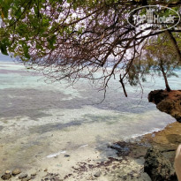 фото из отзыва ID 2197783