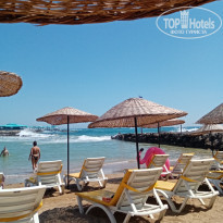 фото из отзыва ID 2197324