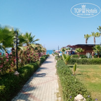 фото из отзыва ID 2197324