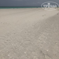 фото из отзыва ID 2198028