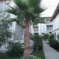 фото из отзыва ID 2198053