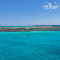 фото из отзыва ID 2198041