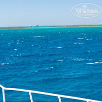 фото из отзыва ID 2198041