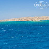 фото из отзыва ID 2198041