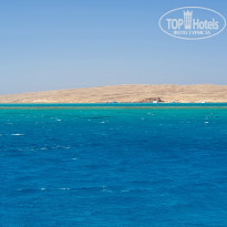 фото из отзыва ID 2198041