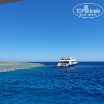 фото из отзыва ID 2198041