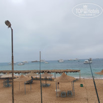 фото из отзыва ID 2198041