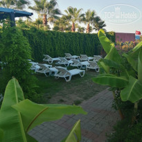 фото из отзыва ID 2198054