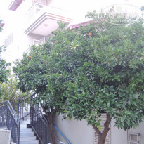 фото из отзыва ID 2198103