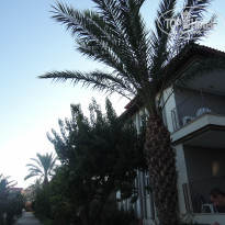 фото из отзыва ID 2198103