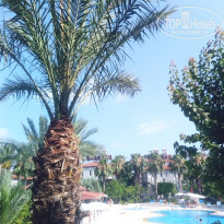 фото из отзыва ID 2198103