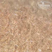 фото из отзыва ID 2198103