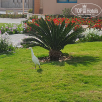 фото из отзыва ID 2198173