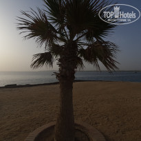 фото из отзыва ID 2198173