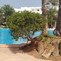 фото из отзыва ID 2198199