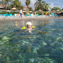 фото из отзыва ID 2198088