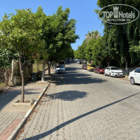 фото из отзыва ID 2198339