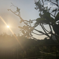 фото из отзыва ID 2198397