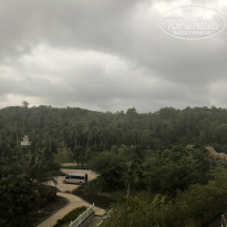 фото из отзыва ID 2198397