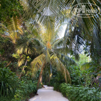 фото из отзыва ID 2198425