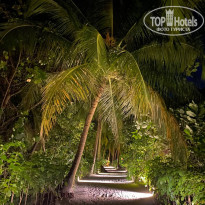 фото из отзыва ID 2198425