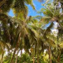 фото из отзыва ID 2198425