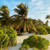 фото из отзыва ID 2198425