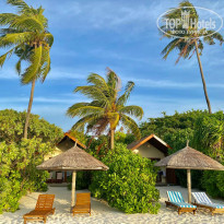 фото из отзыва ID 2198425