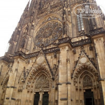 фото из отзыва ID 2198519