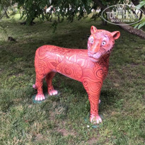 фото из отзыва ID 2198525