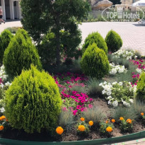 фото из отзыва ID 2198525