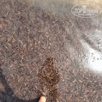 фото из отзыва ID 2198521