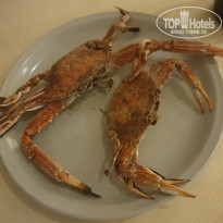 фото из отзыва ID 2198521