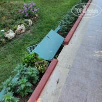 фото из отзыва ID 2198623